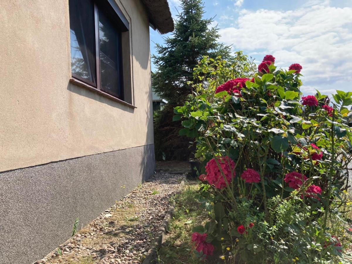 Ferienhaus Kuddel Zempin Exterior photo